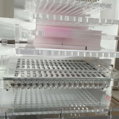 Manual Capsule Filling Machine Plate Type